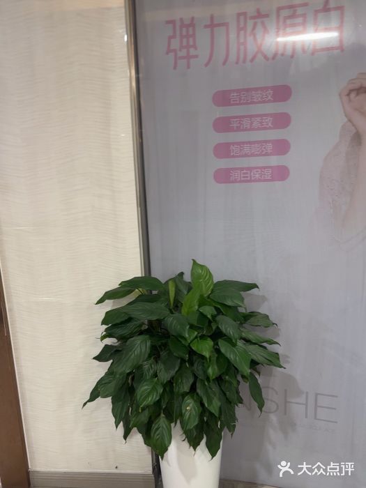 安徽合肥韩美整形外科医院图片