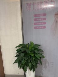 -安徽合肥韩美整形外科医院