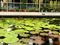 -常州花鸟园酒店(西太湖品牌优选店)