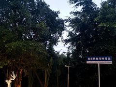 -三亚红色娘子军演艺公园景区