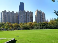 -中山公园