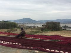 -北岐滩涂