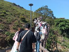 -大姆山草场
