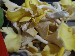 -钰洁腊排骨火锅