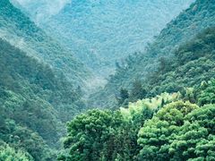 -严子陵钓台(富春江小三峡)