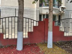 -五月古筝钢琴私塾