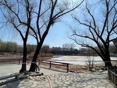 -三忘湖 SWANSEEN(柳荫公园店)