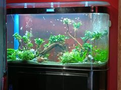 -小河盐帮·私家菜·烤鸭(三元桥·霄云路店)