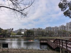 -新江湾城公园
