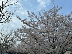 -龙美术馆(西岸馆)