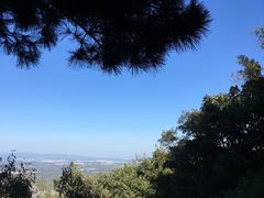 -北京鹫峰国家森林公园