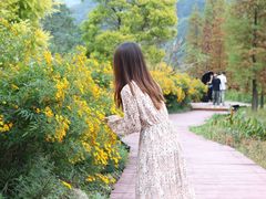 -广州市石门国家森林公园
