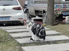 -有才叔的小馆(招商依云曲江店)