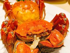 清蒸大闸蟹-王宝和酒家(黄浦店)