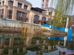 -新江湾城公园