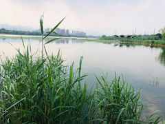 -永定河休闲森林公园