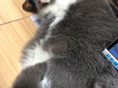 -网鱼电竞·棋牌(五一广场店)
