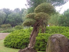 -昆山城市生态森林公园