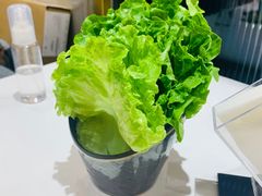 -妥妥烤肉料理(凯德店)