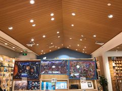 -猫的天空之城概念书店(印象城购物中心店)