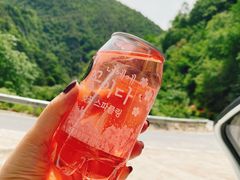 -黑河国家森林公园