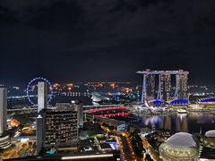 -新加坡瑞士史丹福酒店