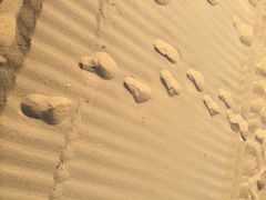 iphone_upload_pic-三亚海棠湾万丽度假酒店