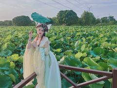 -梁鸿国家湿地公园