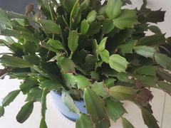 -宜昌富力皇冠假日酒店·咖啡1号西餐厅