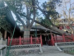 -晋祠公园