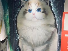 -猫腻·猫咖·撸猫馆(星光大道店)