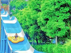 -重庆海昌加勒比海水世界