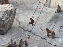 -无锡动物园·太湖欢乐园