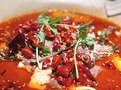 -辛香汇·现炒川菜(淮海路百盛店)