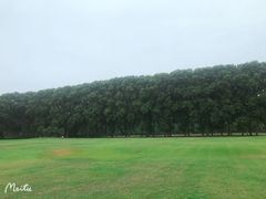 -河南省黄河迎宾馆