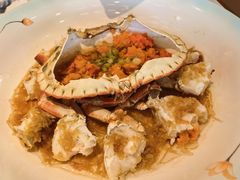 -一麦·龙岛(上海青浦店)