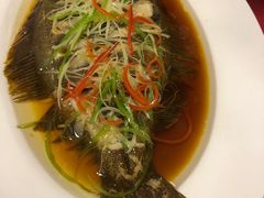 -小叶大馅饺子城