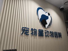 -宠物星动物医院·眼科·异宠·猫科(江南大道总院)