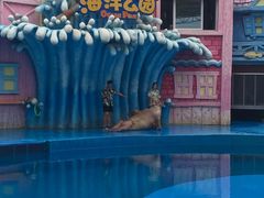 -华夏文旅海洋公园