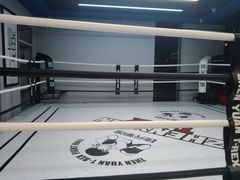 -臻元搏击格斗泰拳拳馆(港隆店)