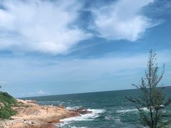 -广东惠东海龟国家级自然保护区