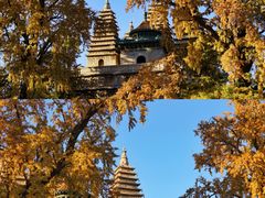 -北京石刻艺术博物馆(五塔寺)