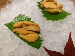 -月龍吟(朝龙汇店)