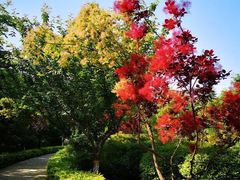 -西安汉城湖景区