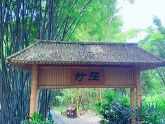 -大屏嶂森林公园