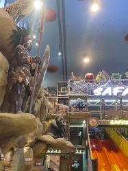 -卡通尼·Safari非洲探索乐园·生日会(金桥国际商业广场店)