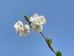 -山东省千佛山医院