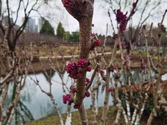-白塘生态植物园