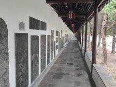 -苏州文庙(姑苏区)