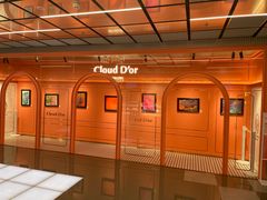 -CloudD'or可露朵蛋糕(1733商业空间店)